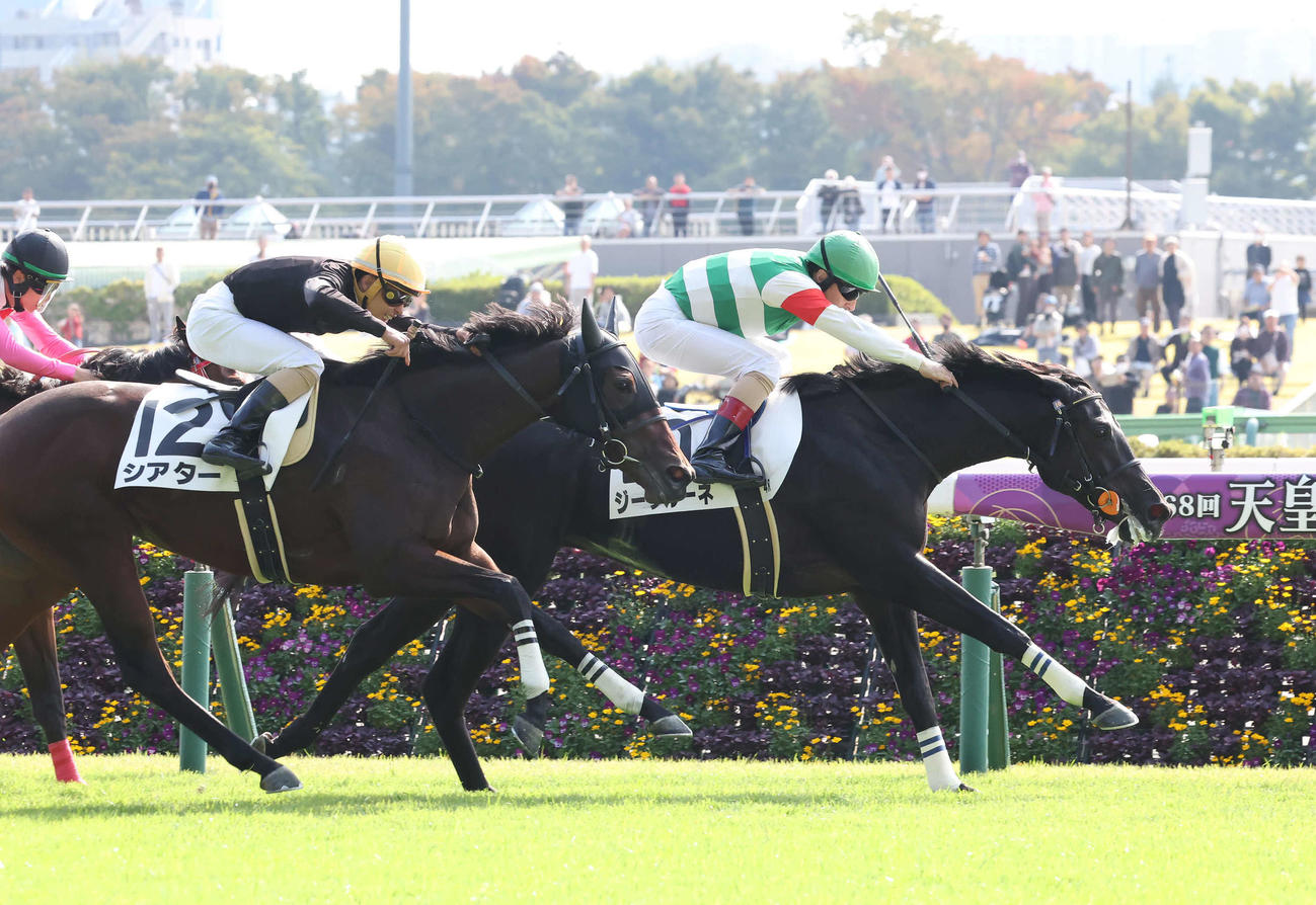 東京4R新馬戦を制したジークルーネとルメール騎手（右）（撮影・丹羽敏通）