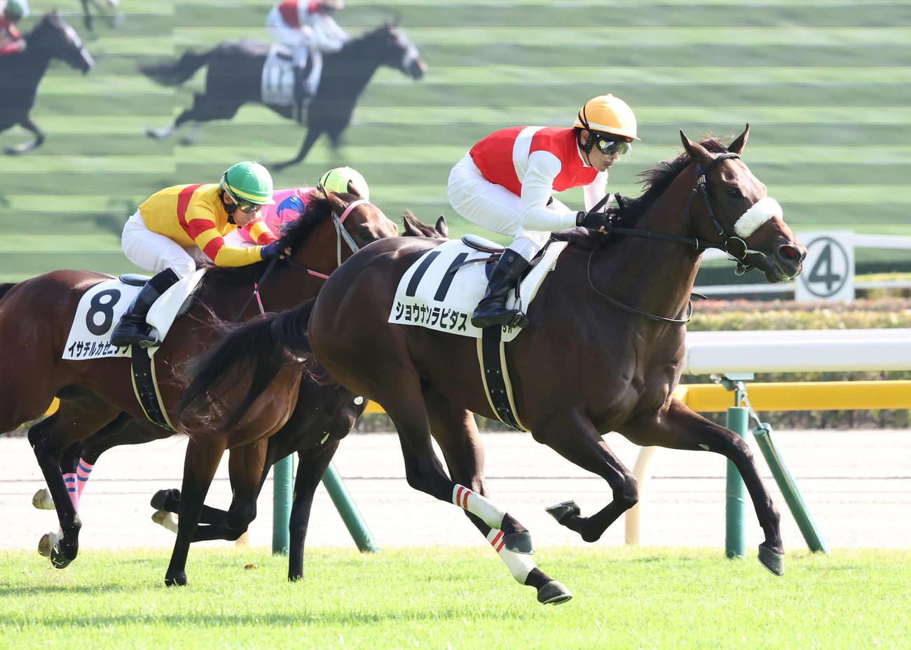 東京5R新馬戦を制したショウナンラピダスと戸崎騎手（右）（撮影・丹羽敏通）