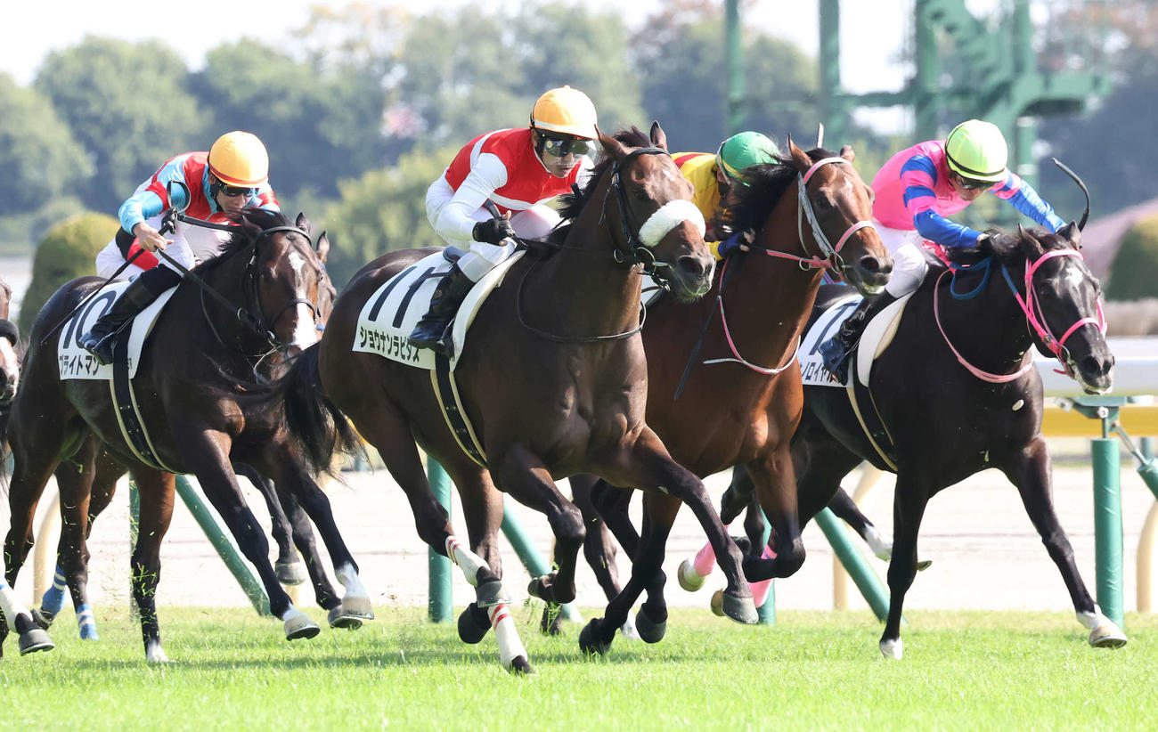東京5R新馬戦を制したショウナンラピダスと戸崎騎手（中央）（撮影・丹羽敏通）