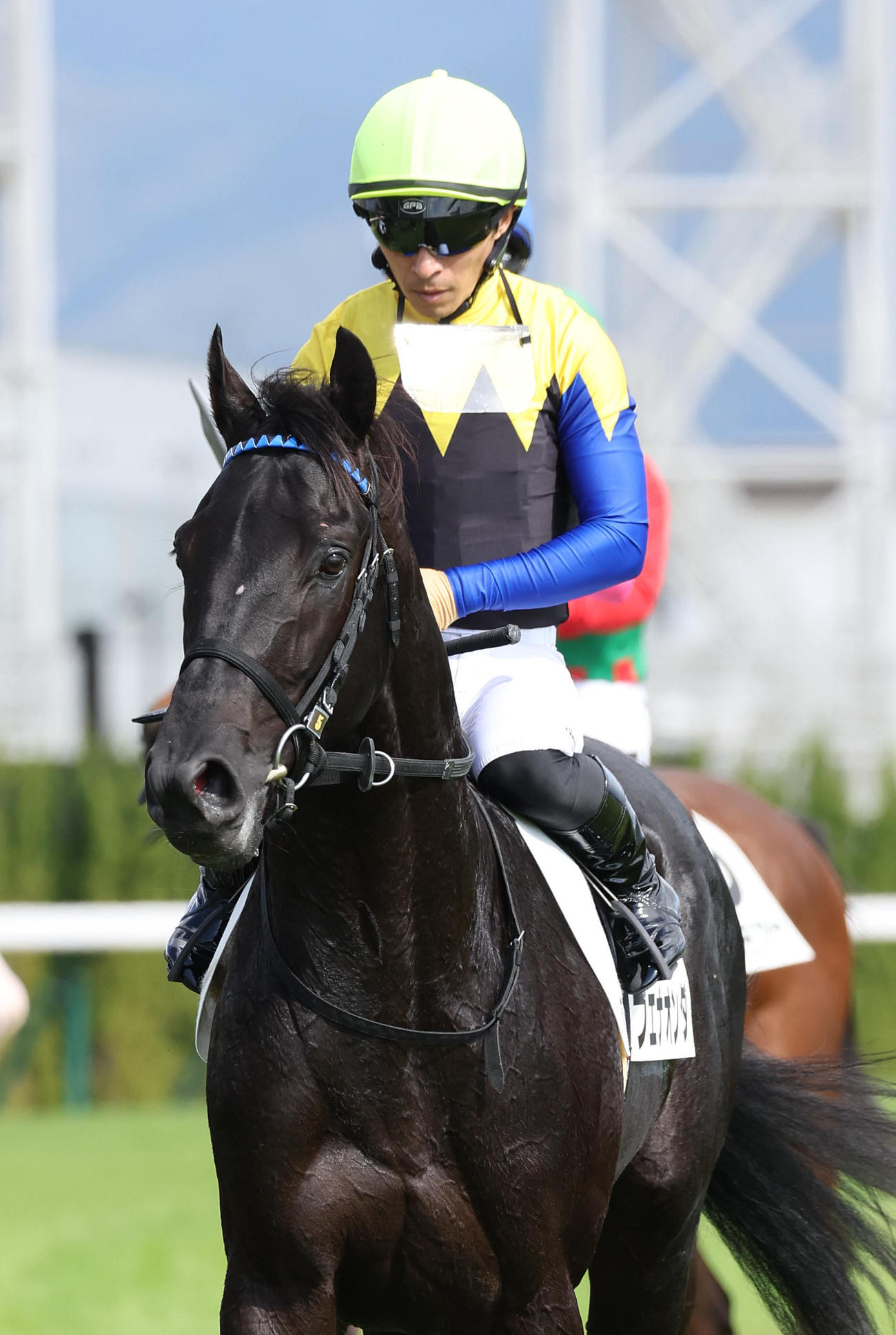 京都5R、直線抜け出して新馬戦を制したブエナオンダ（撮影・白石智彦）