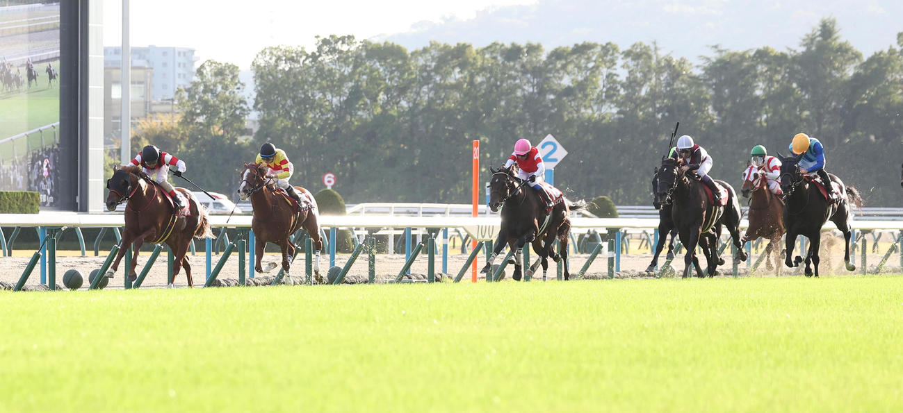 京都11R、直線抜け出してスワンSを制したウイングレイテスト（左）（撮影・白石智彦）