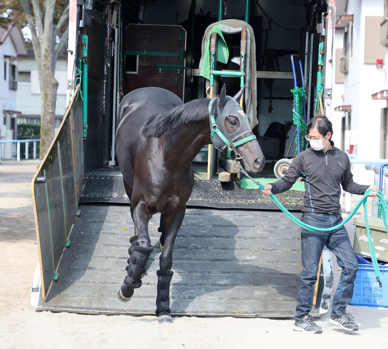 東京競馬場に到着したジャスティンパレス（撮影・鈴木正人）