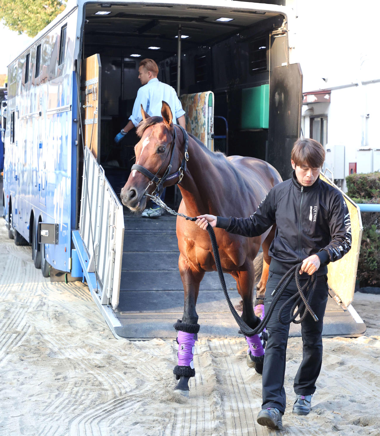 東京競馬場に到着したドウデュース（撮影・鈴木正人）