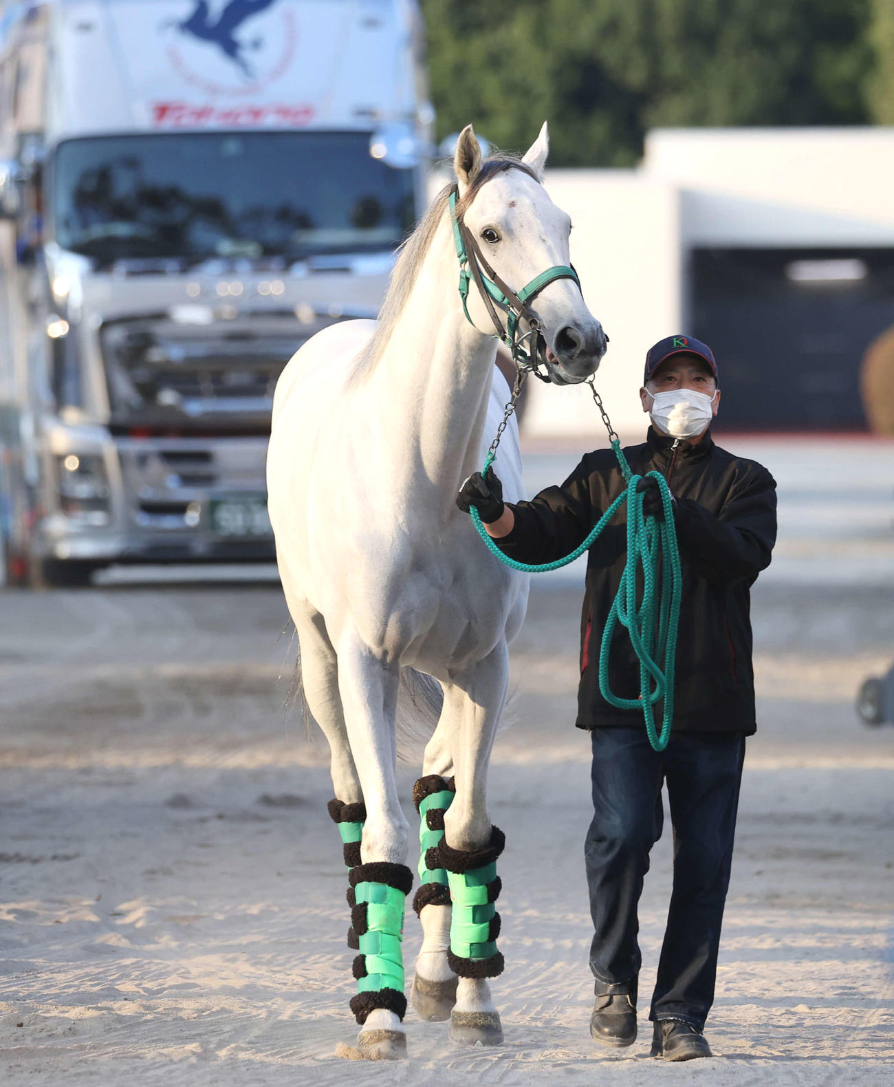 東京競馬場に到着したガイアフォース（撮影・鈴木正人）