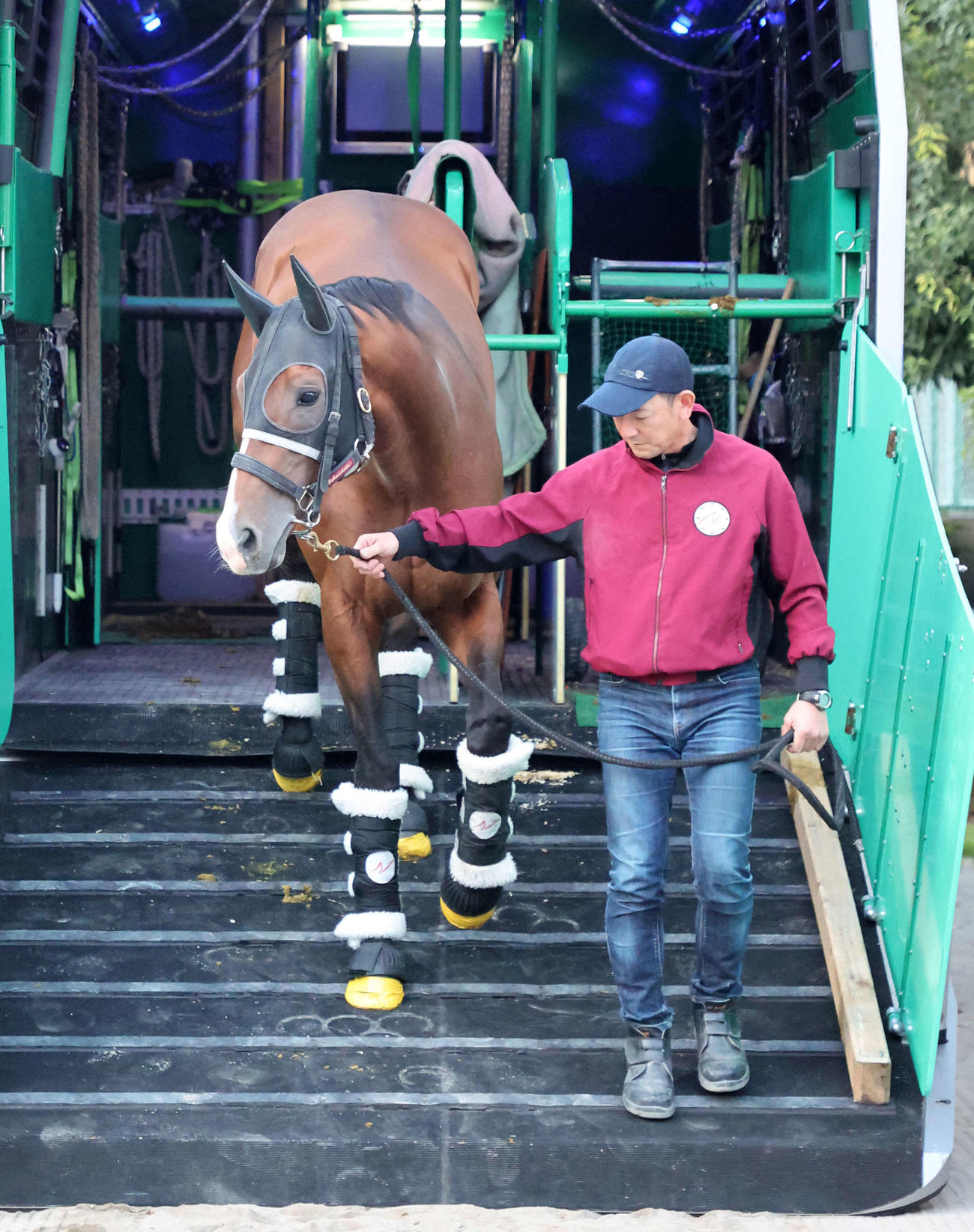 東京競馬場に到着したプログノーシス（撮影・鈴木正人）