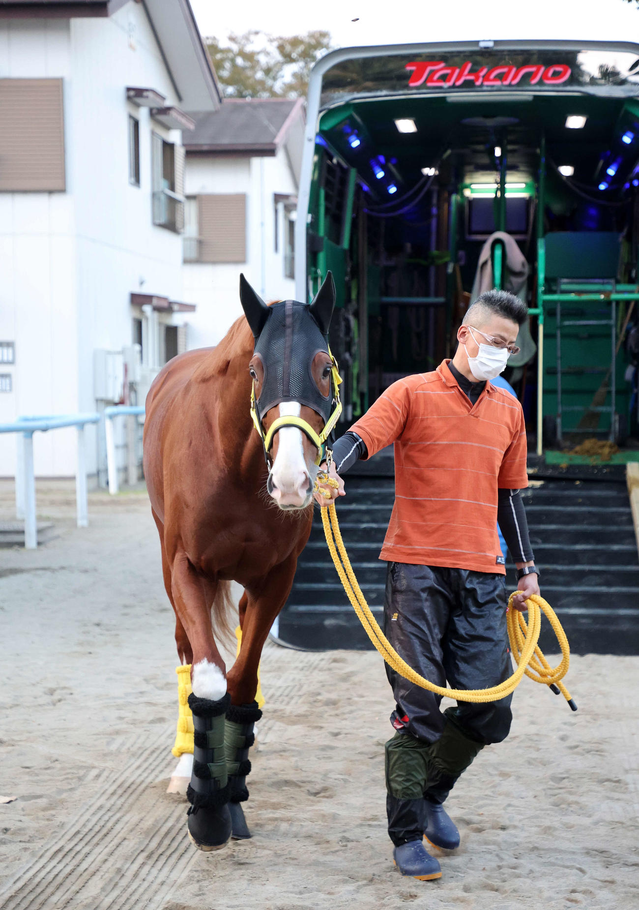 東京競馬場に到着したジャックドール（撮影・鈴木正人）