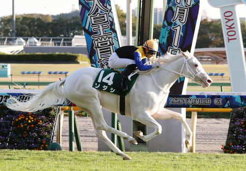 リスグラシュー、リバティアイランドなどG1馬9頭誕生の出世レース