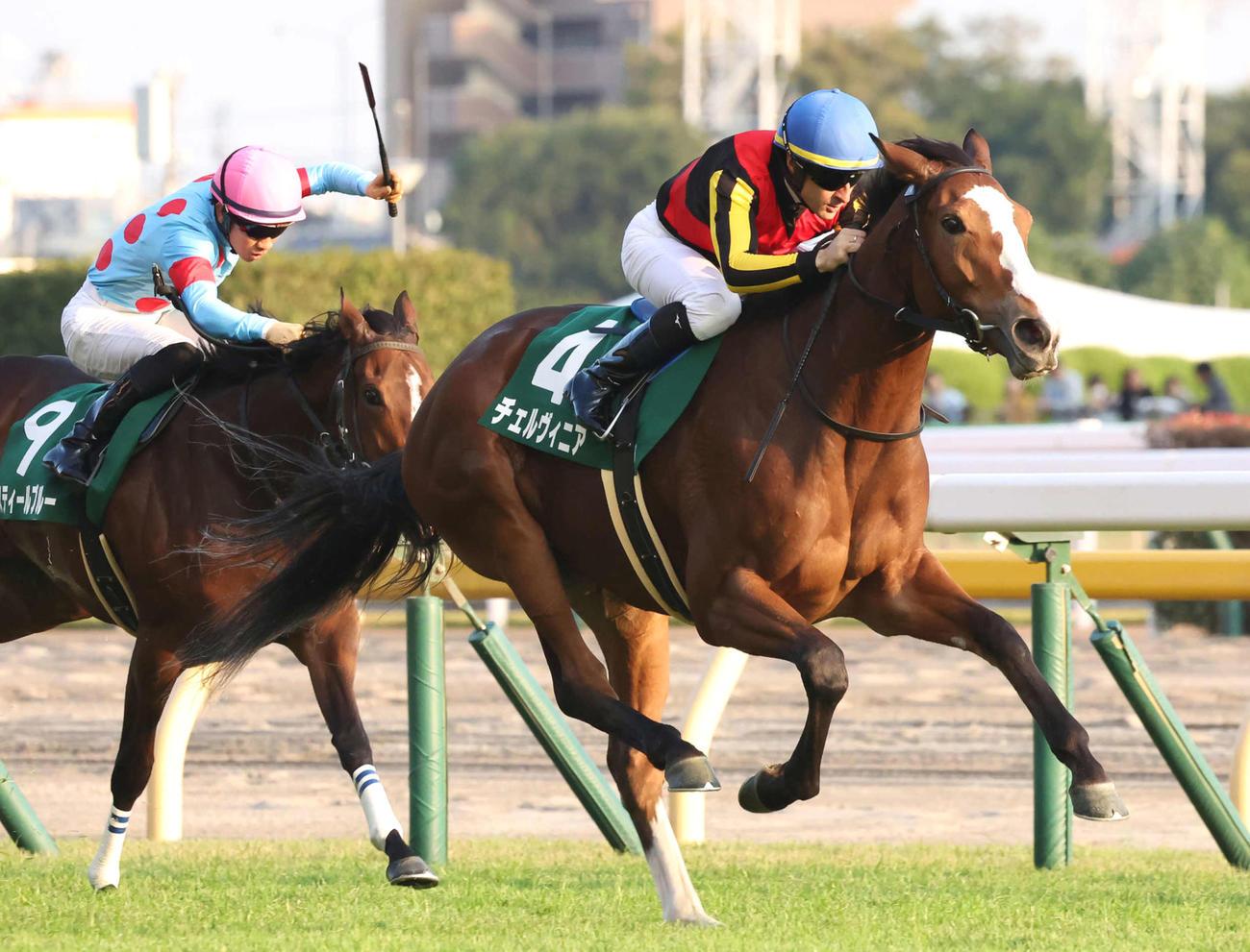 アルテミスSを制したチェルヴィニアとルメール騎手（撮影・丹羽敏通）
