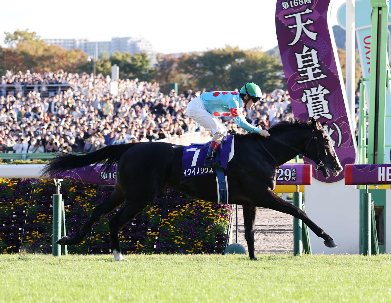 天皇賞・秋を制したイクイノックスとC・ルメール騎手（撮影・鈴木正人）