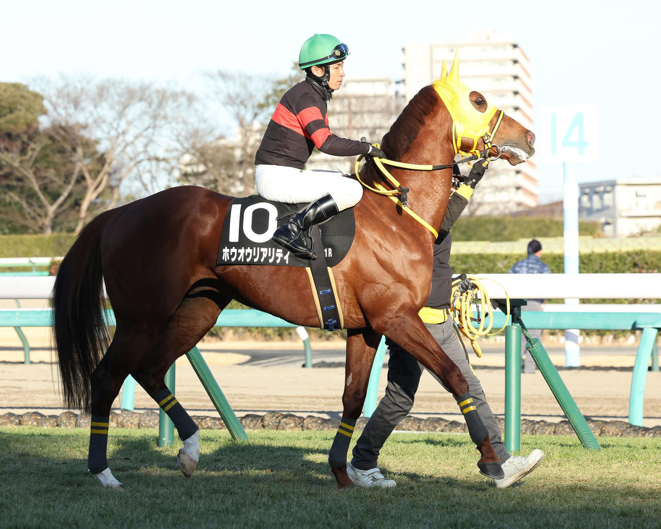 ホウオウリアリティと大野騎手（2023年1月21日撮影）