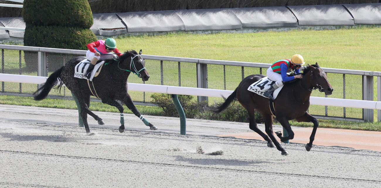 東京4R、2歳新馬戦を制したアースイオスと横山和騎手（撮影・丹羽敏通）