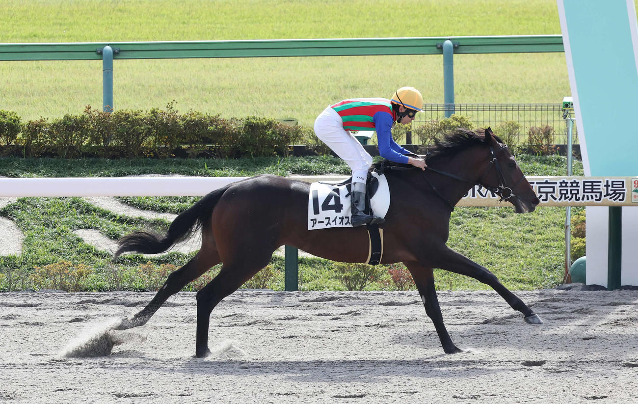 東京4R、2歳新馬戦を制したアースイオスと横山和騎手（撮影・丹羽敏通）