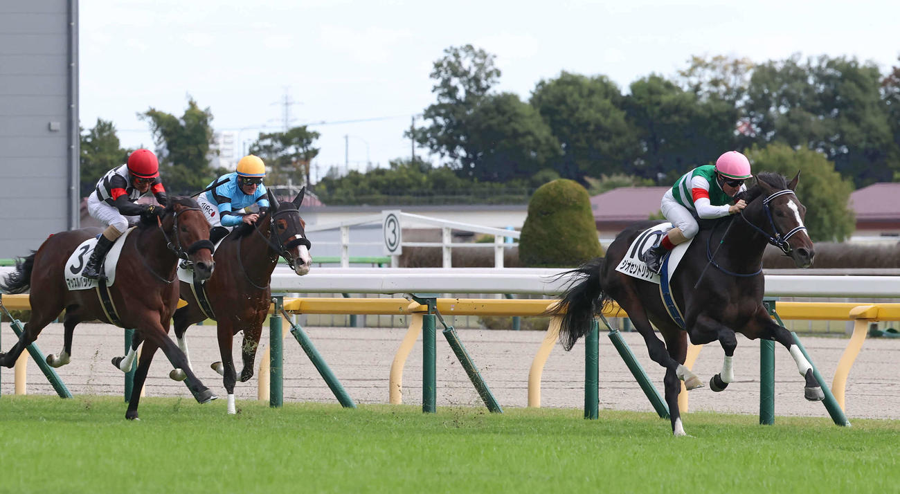東京5R、2歳新馬戦を制したジオセントリック（右）（撮影・丹羽敏通）