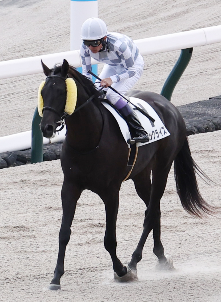 東京5Rを終えたブラックライズの武豊騎手（撮影・野上伸悟）