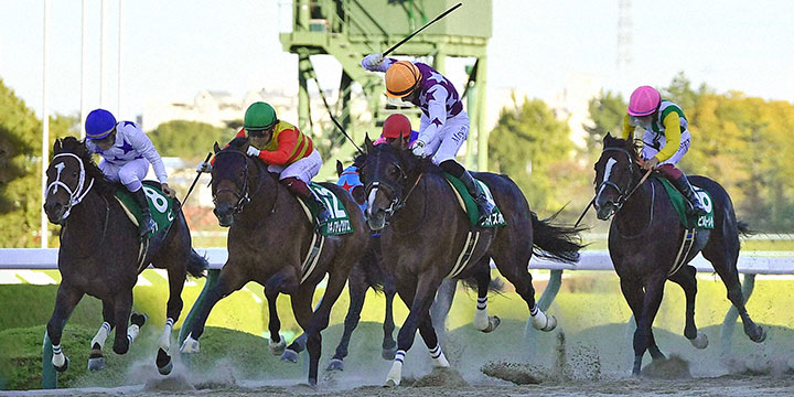 サンライズホープと幸英明騎手（中央）がみやこＳを制した（撮影・岩下翔太）＝2022年11月6日、阪神競馬場