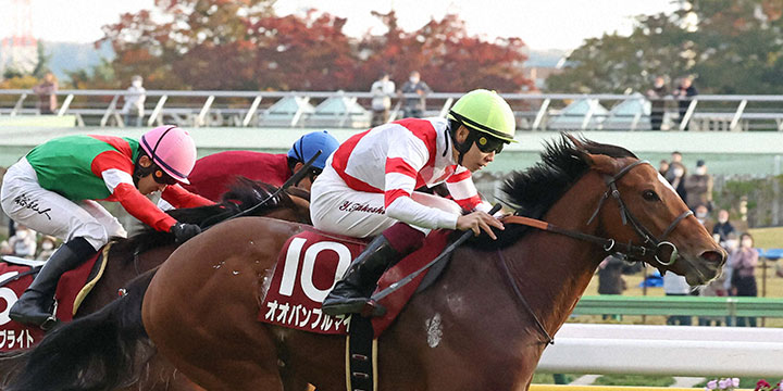京王杯2歳Sを制したオオバンブルマイと横山武騎手（撮影・丹羽敏通）＝2022年11月5日、東京競馬場
