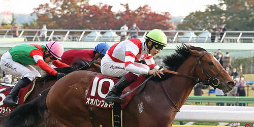 京王杯2歳Sを制したオオバンブルマイと横山武騎手（撮影・丹羽敏通）＝2022年11月5日、東京競馬場