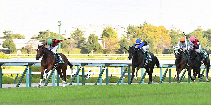 逃げ切ってファンタジーSを制したリバーラと石橋騎手（撮影・岩下翔太）＝2022年11月5日、阪神競馬場