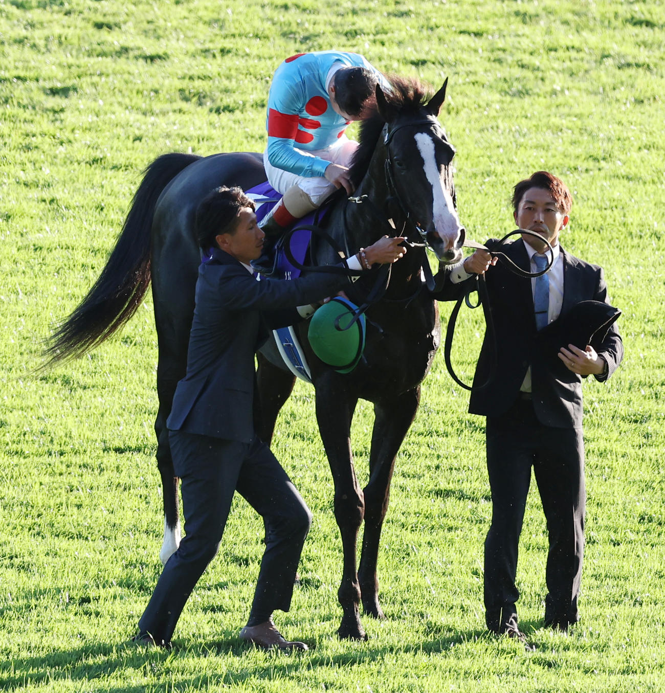 天皇賞を制したイクイノックスのルメール騎手は、天皇皇后両陛下に向かって敬礼（撮影・野上伸悟）