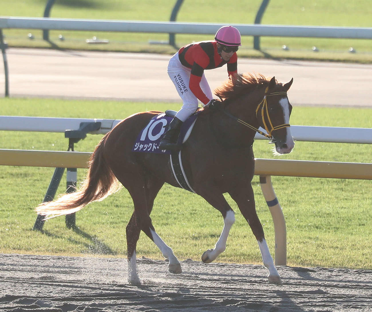 天皇賞・秋で最下位に沈んだジャックドールと藤岡佑騎手