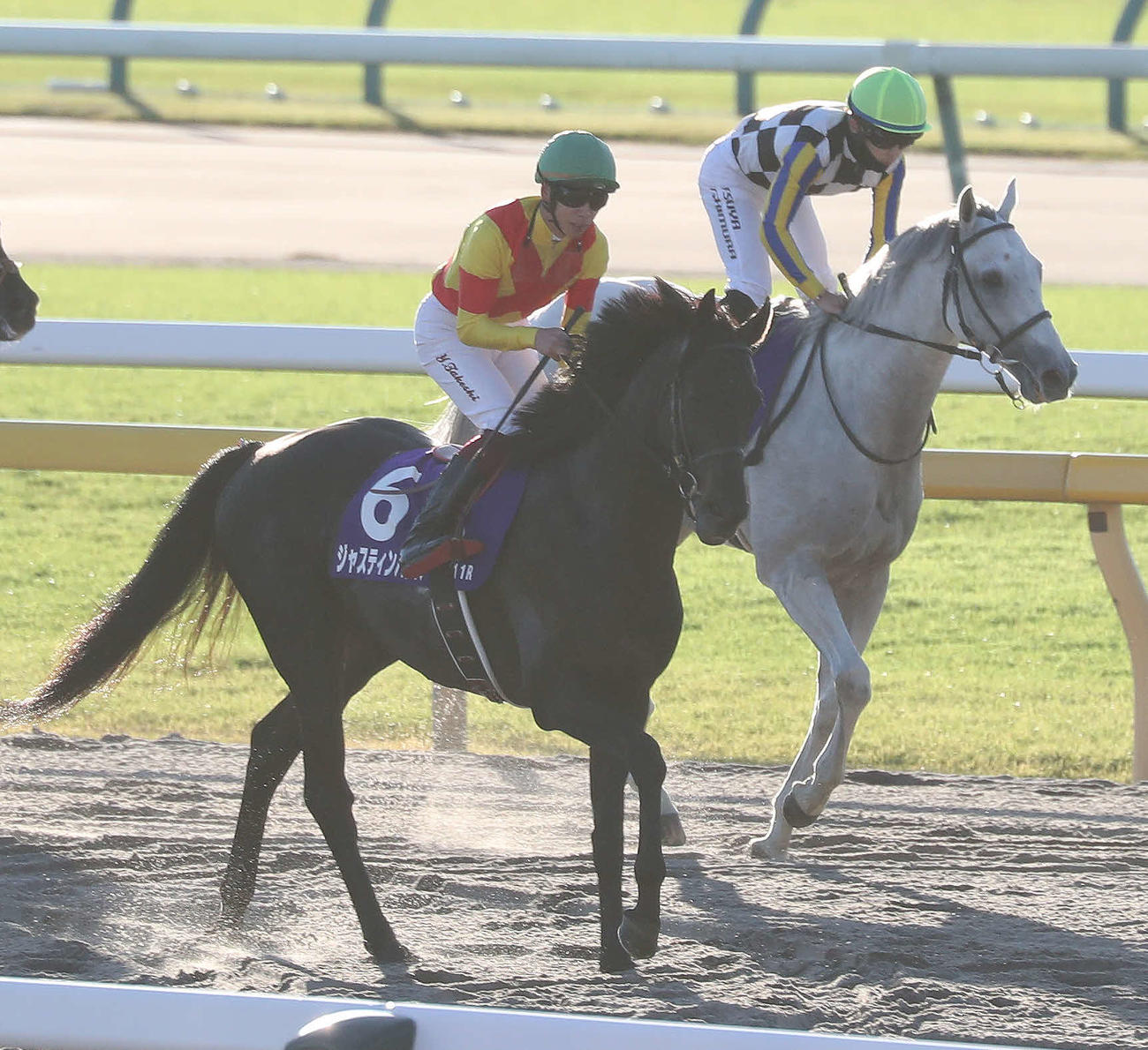 天皇賞・秋で2着になったジャスティンパレスと横山武騎手