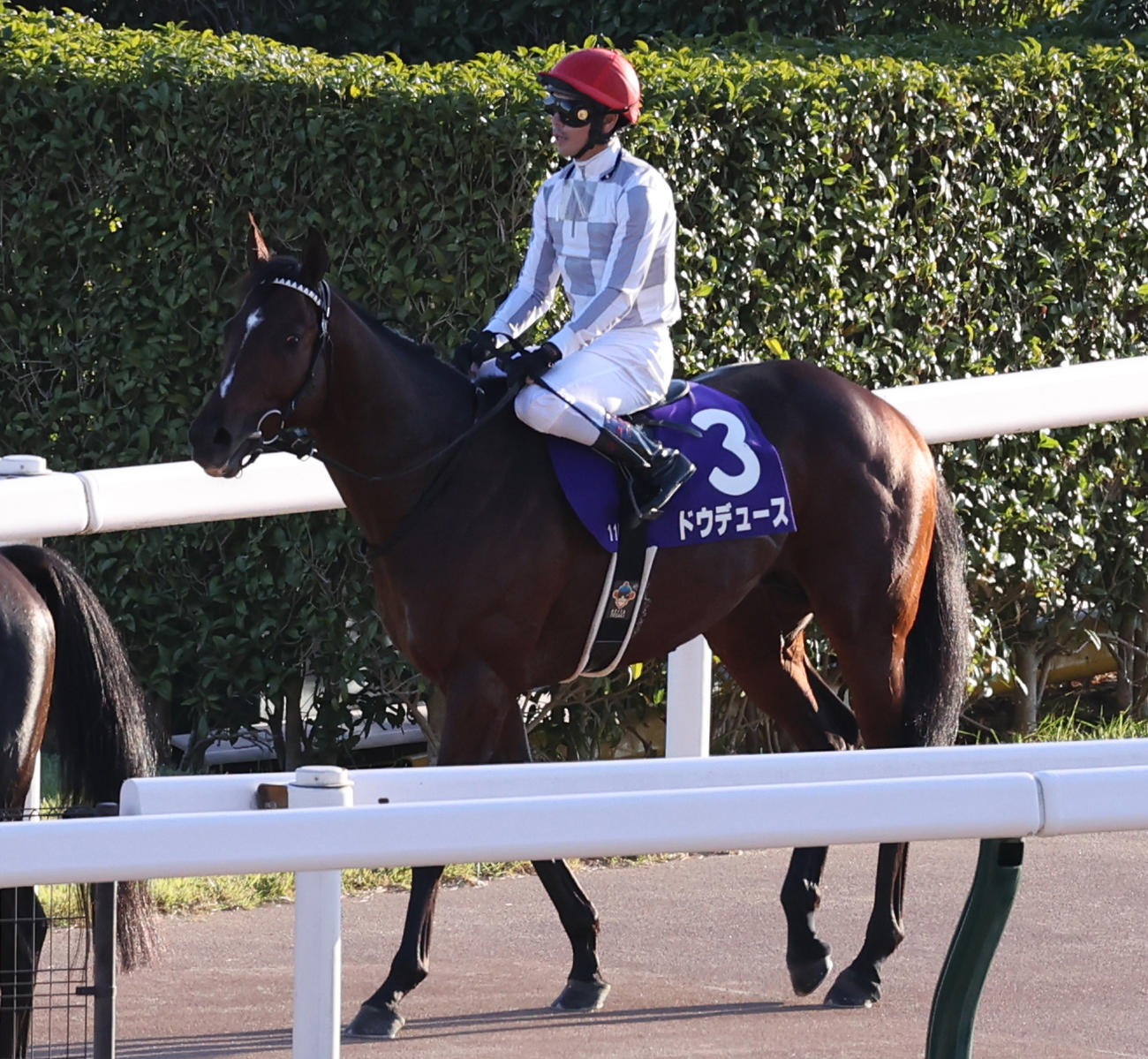 7着に終わった戸崎圭太騎乗のドウデュース（撮影・野上伸悟）