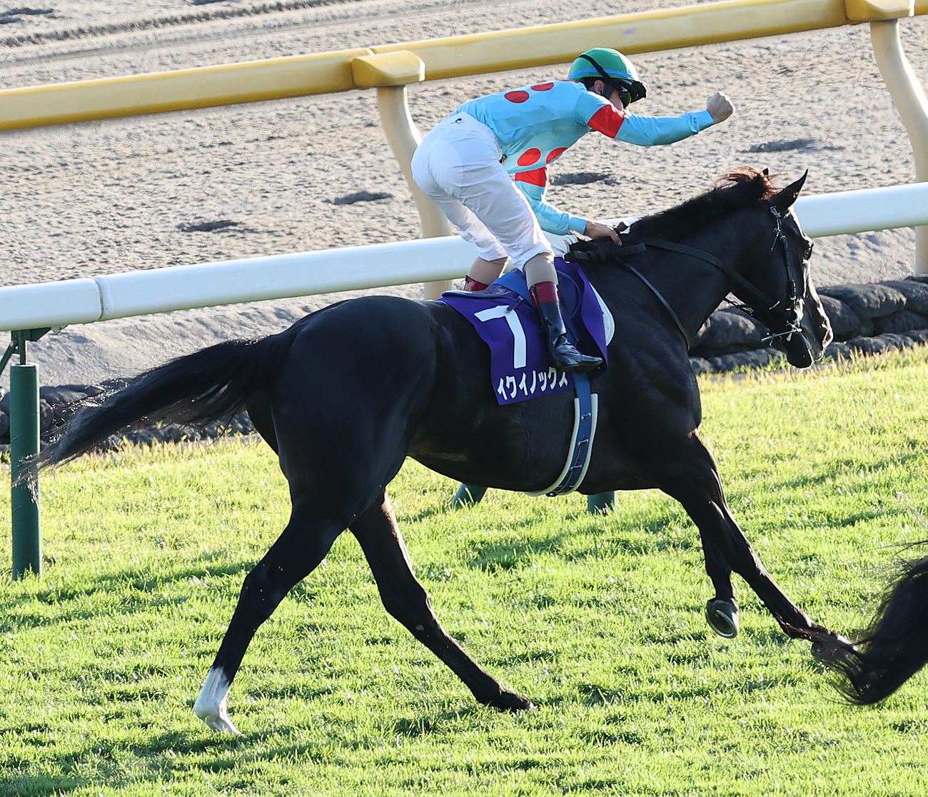 イクイノックスで天皇賞を制しガッツポーズのルメール騎手（撮影・野上伸悟）