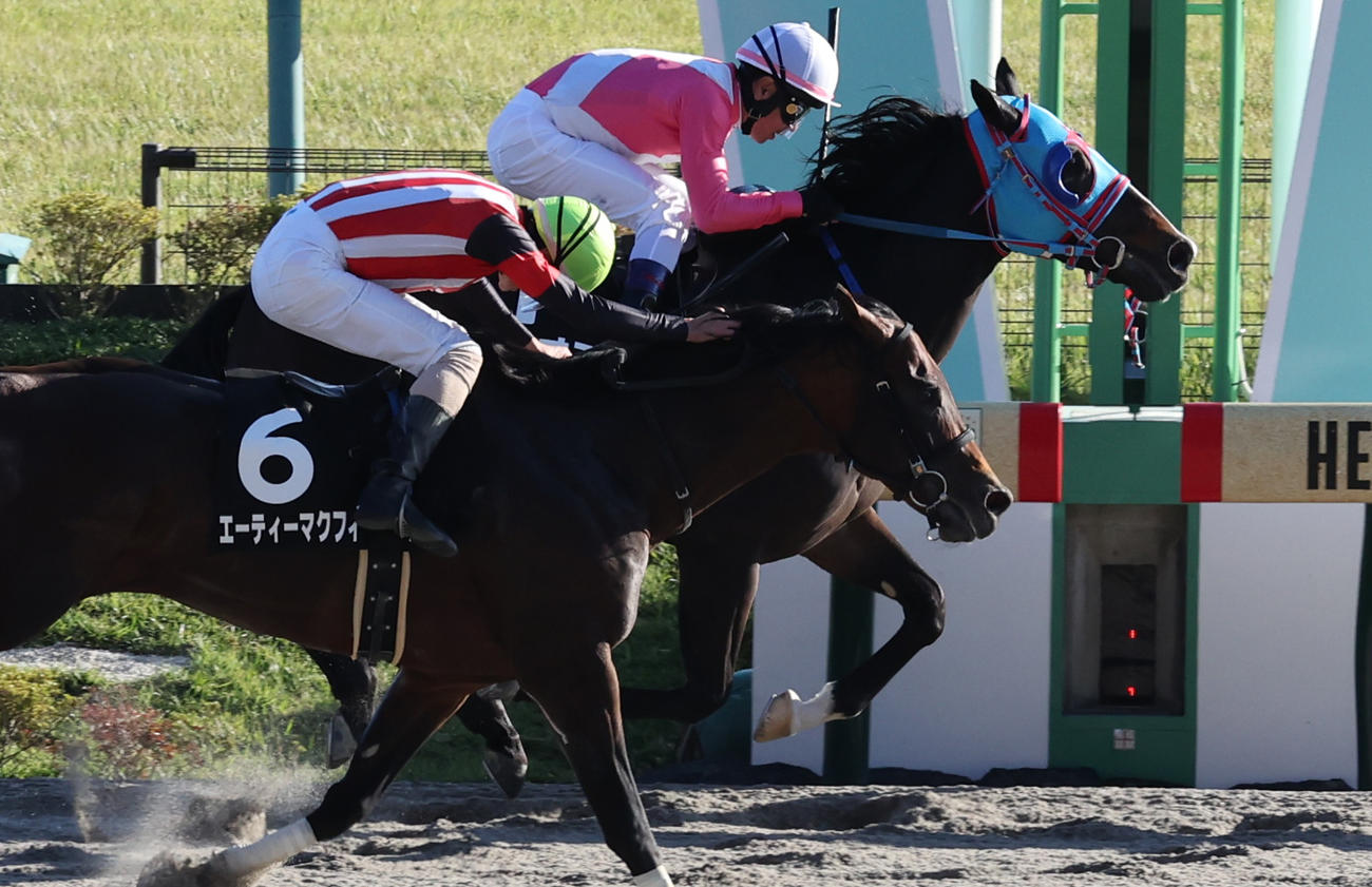 ペルセウスSで1着の戸崎圭太騎乗ヘリオス（奥）。手前は2着のエーティーマクフィ