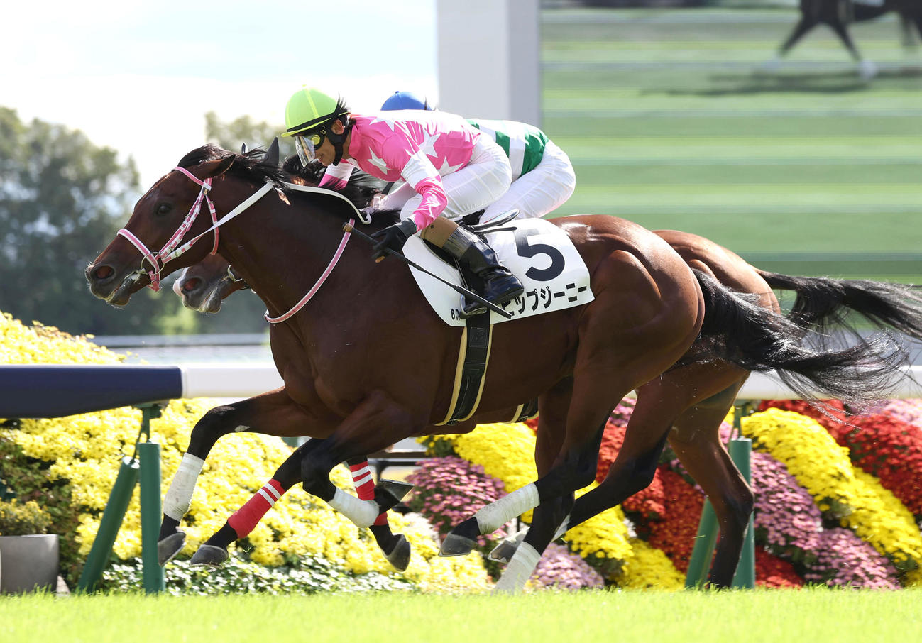 リューデスハイム（奥）との接戦を制して新馬戦を勝利したビップジーニー（撮影・白石智彦）