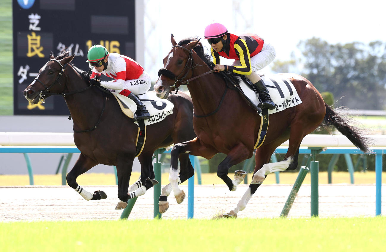 カーメルタザイト（右）が新馬戦を制した（撮影・白石智彦）
