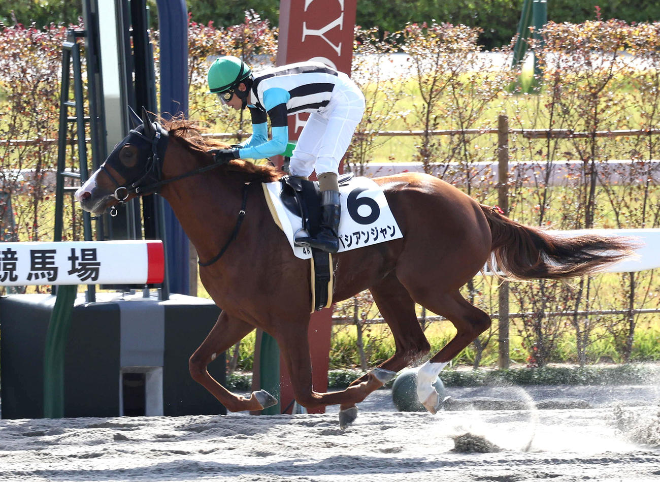 新馬戦を制したパシアンジャン（撮影・白石智彦）