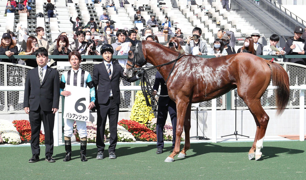 京都4R、新馬戦を制したパシアンジャンと口取りに並ぶ和田竜騎手（中央）（撮影・白石智彦）