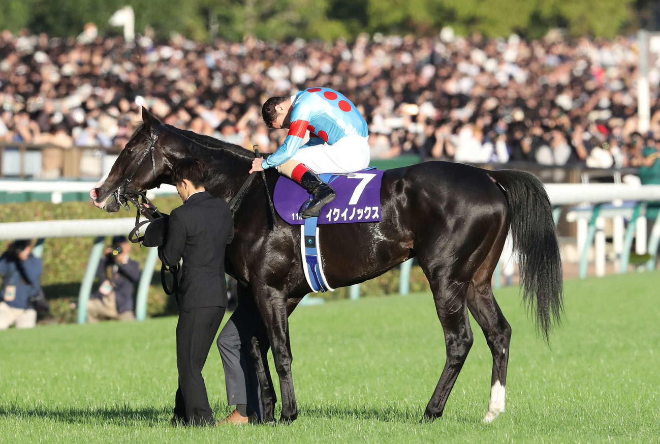 天皇賞・秋を連覇したイクイノックスと馬上礼するルメール騎手（撮影・丹羽敏通）