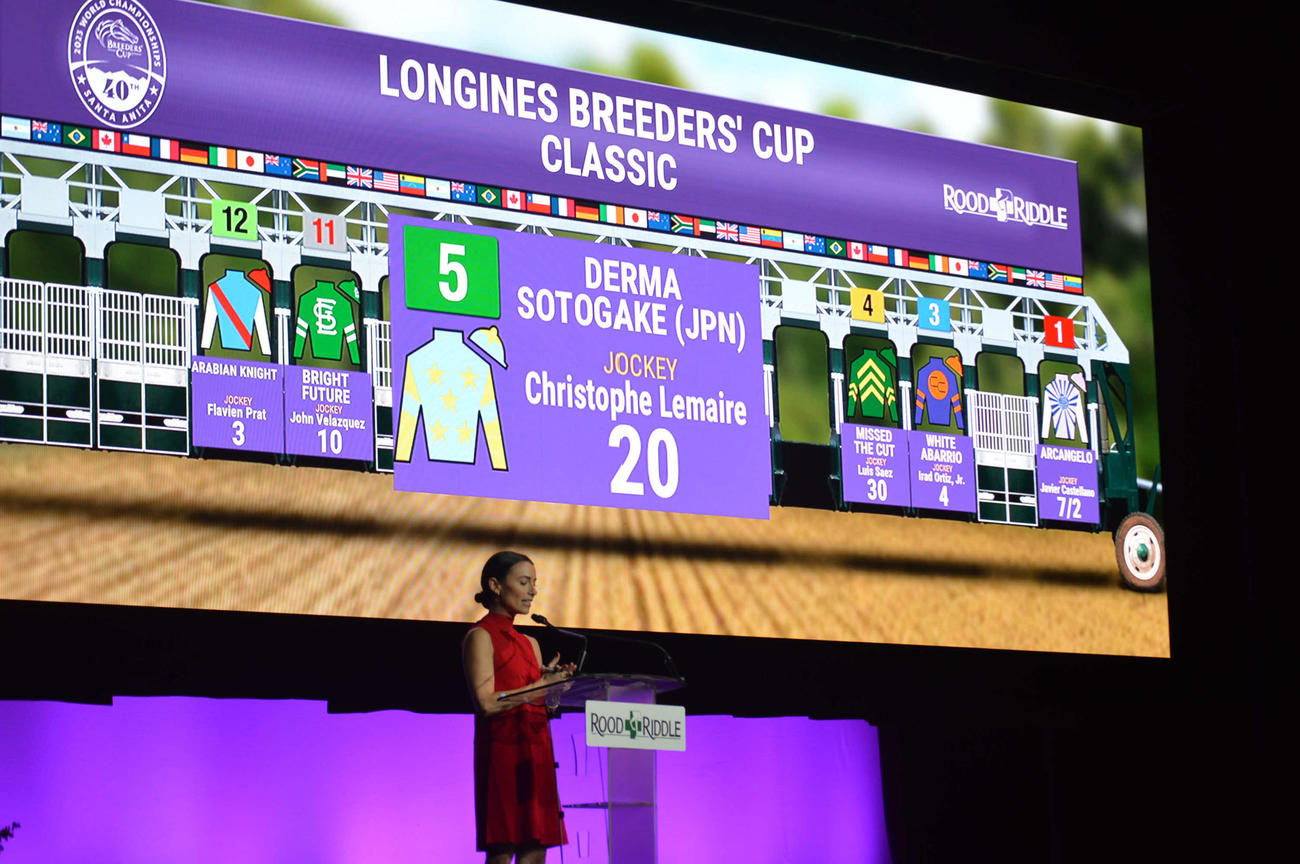 BCクラシックの枠順抽選会で5番を引いたデルマソトガケ
