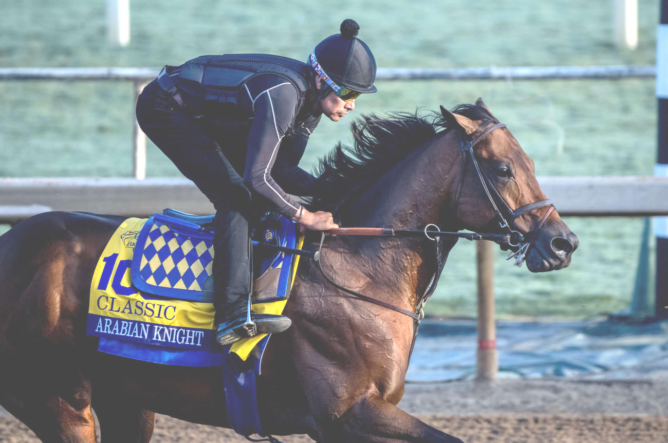 アレイビアンナイト（C）Scott Serio／Eclipse Sportswire／Breeders Cup