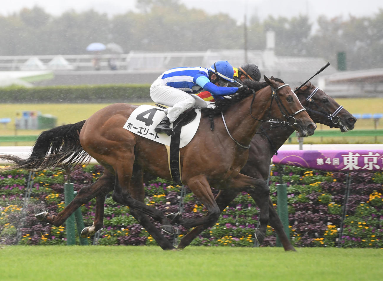 未勝利戦を制したホーエリート（手前）（2023年10月15日撮影）