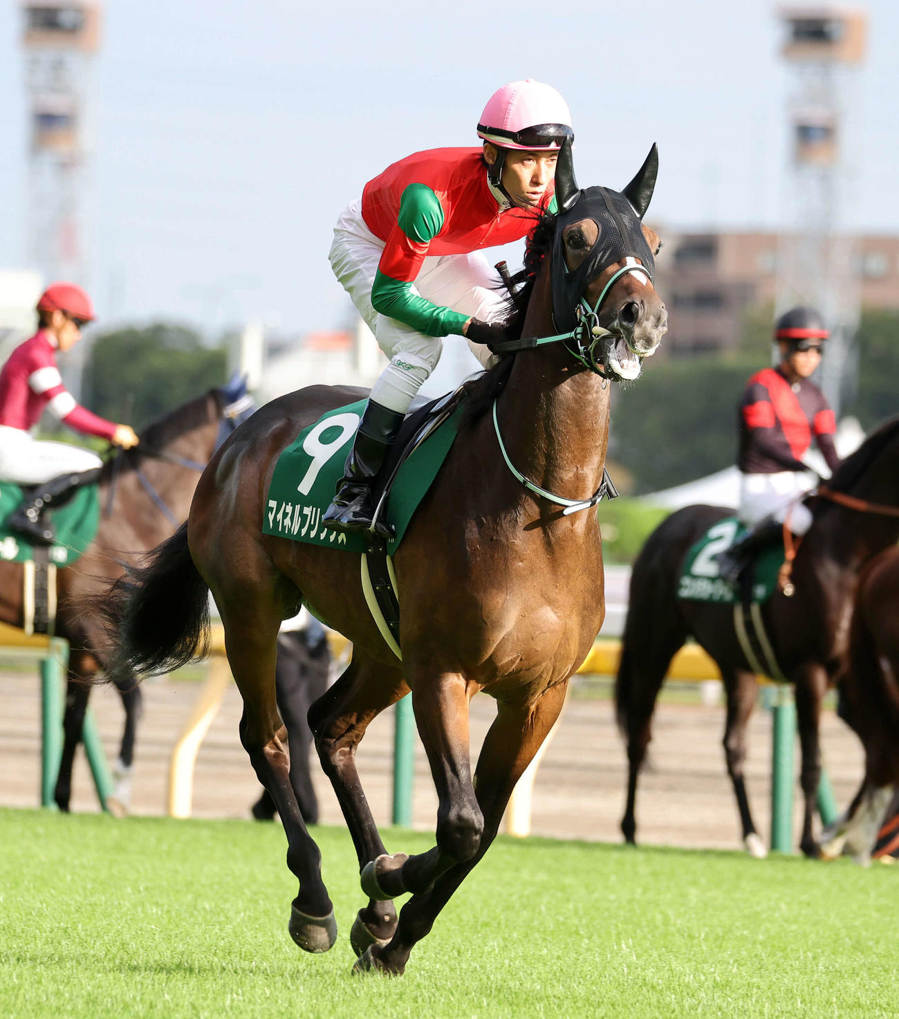 サウジアラビアRCに出走したマイネルブリックス（2023年10月7日撮影）