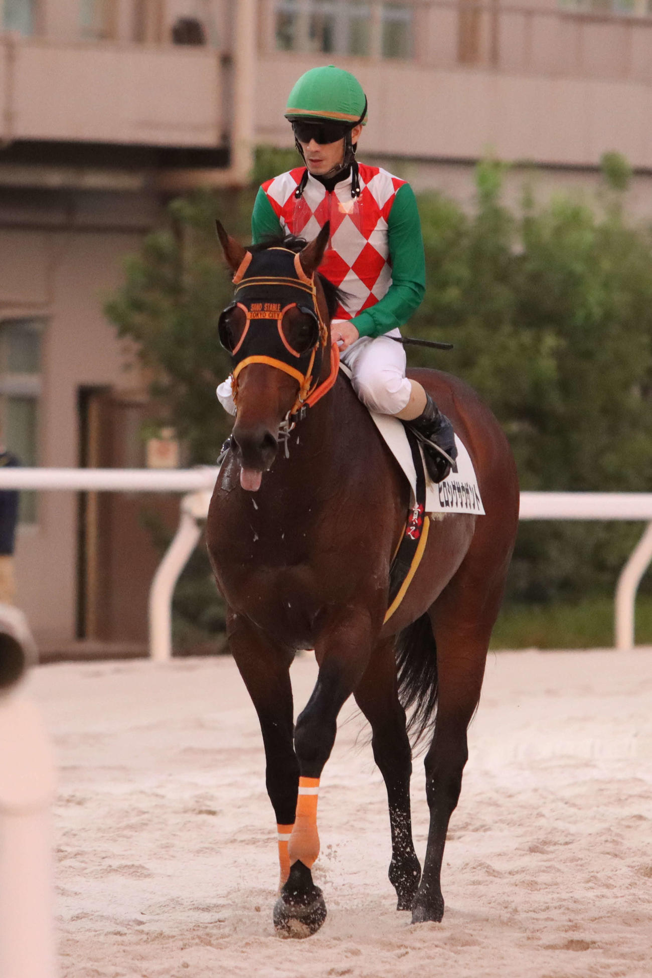 大井5Rをヒロシゲサウザントで勝ち、けがから復帰後の初勝利を挙げ引き揚げてくる矢野騎手