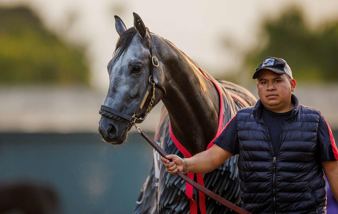 アルカンジェロ（C）Alex Evers／Eclipse Sportswire／Breeders Cup