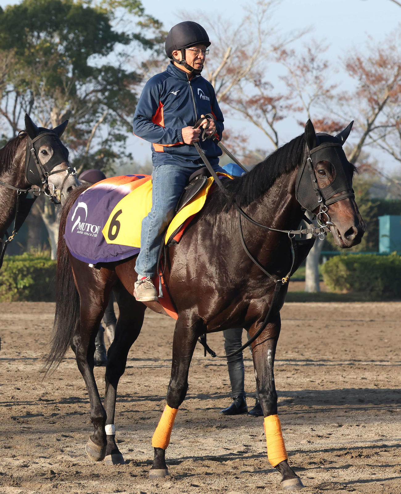 調教を終えて馬場を出るアイオライト（撮影・丹羽敏通）