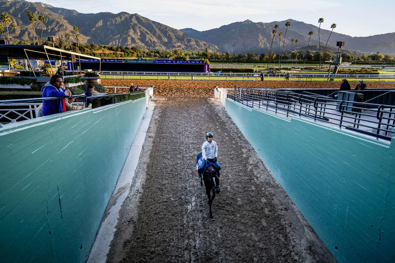 ソングライン（C）Scott Serio／Eclipse Sportswire／Breeders Cup