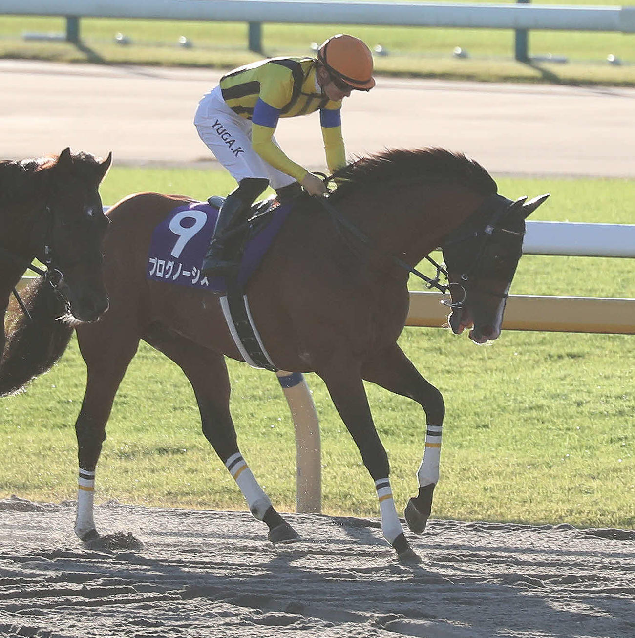 天皇賞・秋で3着になったプログノーシスと川田騎手