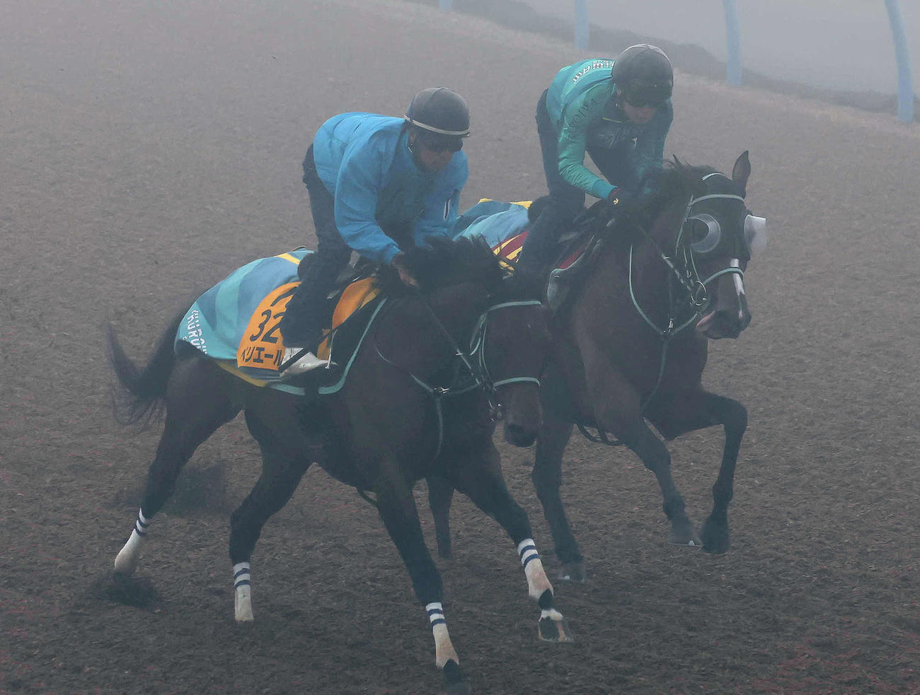 ルージュエヴァイユ（右）は濃霧に包まれた美浦ウッドをペリエールと併せて追い切られた（撮影・丹羽敏通）