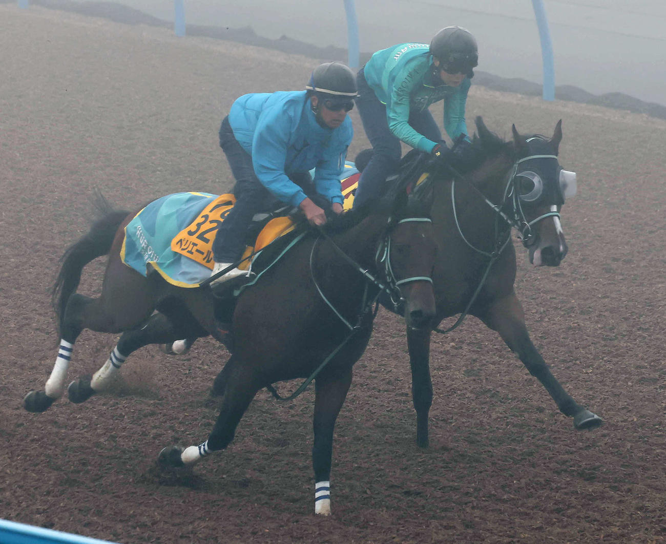 ルージュエヴァイユ（右）は濃霧に包まれた美浦ウッドをペリエールと併せて追い切られた（撮影・丹羽敏通）