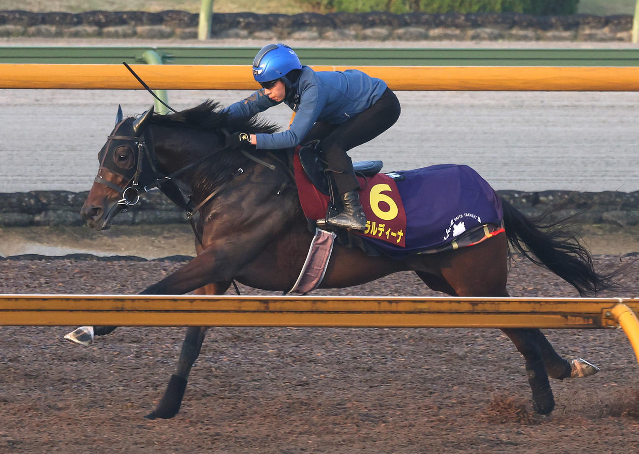 団野騎手を背にCウッドを単走で追い切るジェラルディーナ（撮影・白石智彦）