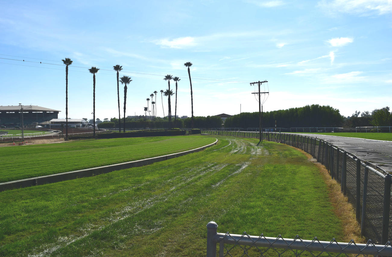 サンタアニタ競馬場のダウンヒル、急角度でカーブしてダートを横切る（撮影・木南友輔）