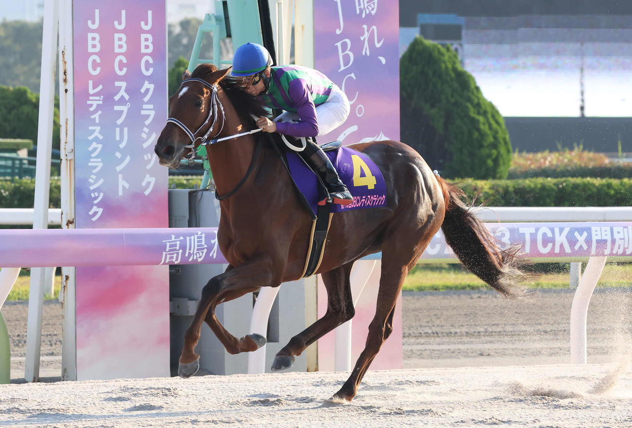 JBCレディスクラシックを制したアイコンテーラーと松山騎手（撮影・丹羽敏通）