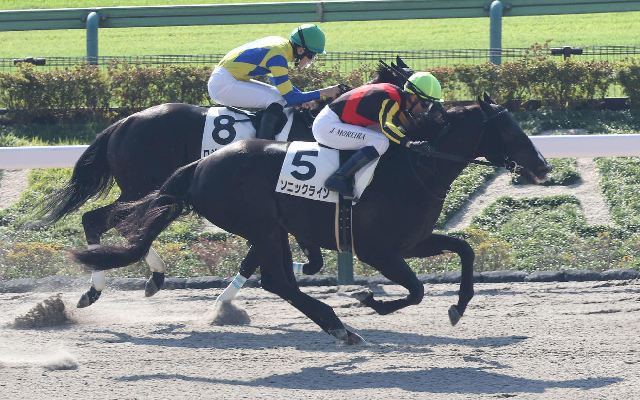 東京1R、2歳未勝利戦を制したソニックラインとモレイラ騎手（撮影・丹羽敏通）