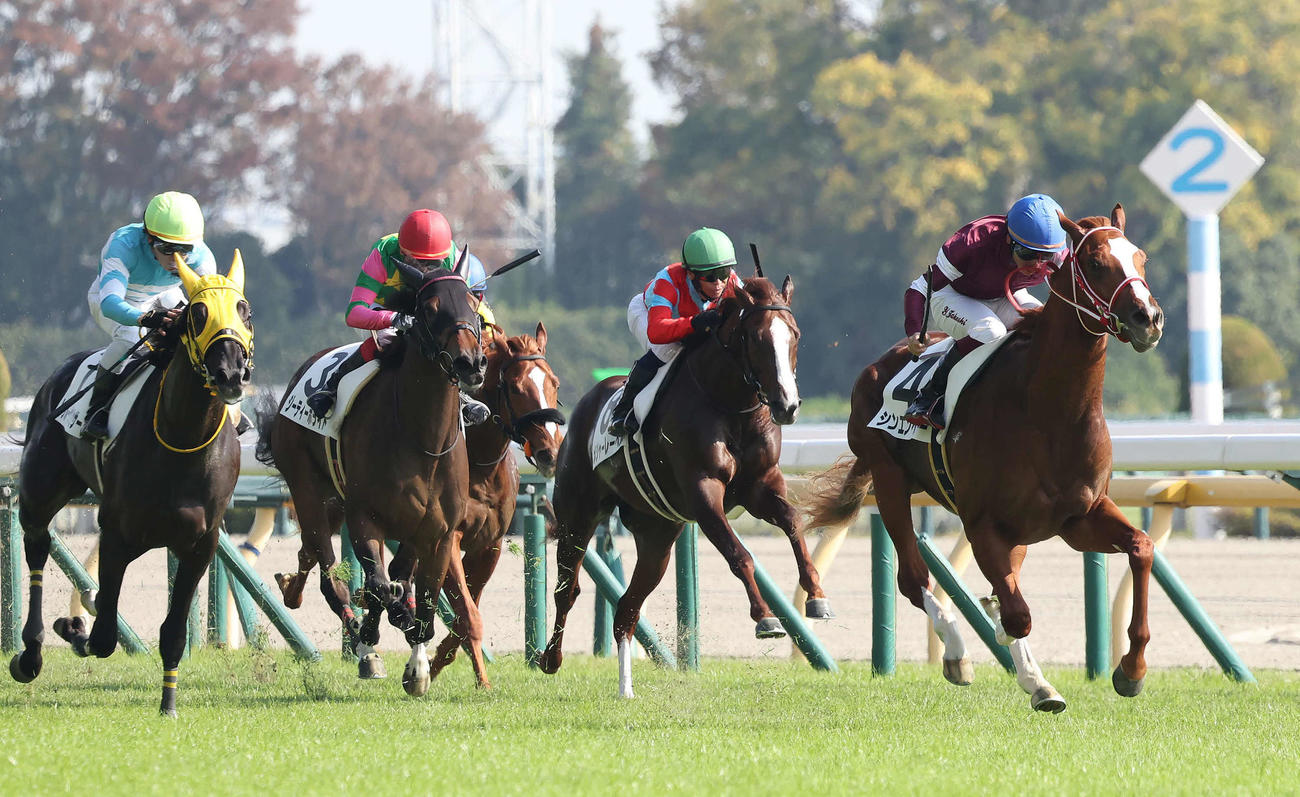 東京5R、2歳新馬戦を制したシンエンペラーと横山武騎手（右）（撮影・丹羽敏通）