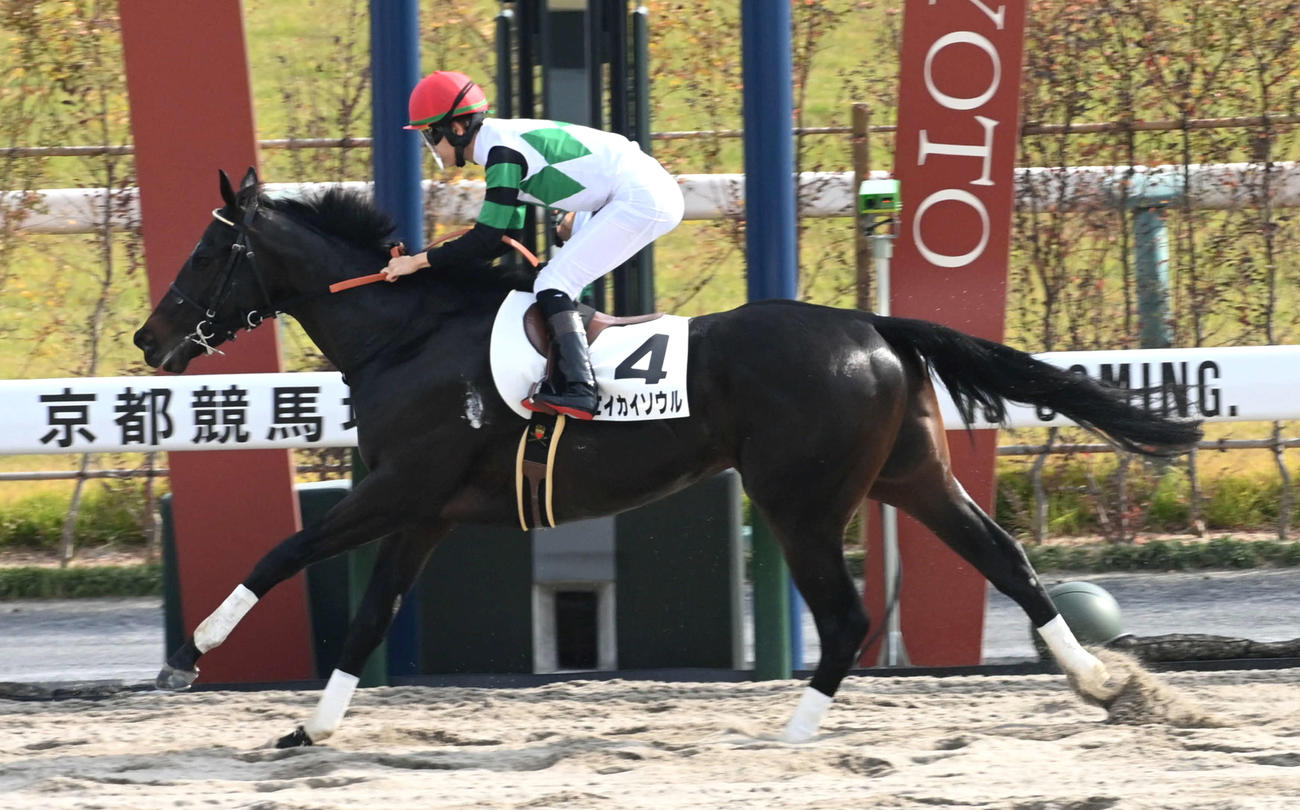 新馬戦を制したエイカイソウル（撮影・前岡正明）
